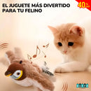 PÁJARO CANTOR - JUGUETE INTERACTIVO PARA GATOS