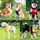 ARNÉS TIPO PECHERA REFLECTANTE PARA PERROS SIN CORREA - Tabla de medidas abajo