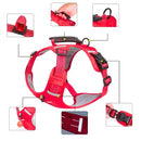 ARNÉS TIPO PECHERA REFLECTANTE PARA PERROS SIN CORREA - Tabla de medidas abajo